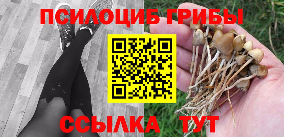 где найти   Псилоцибиновые грибы мухоморы  Заречный  Вход с VPN  Псилоцибиновые грибы Psilocybe 
