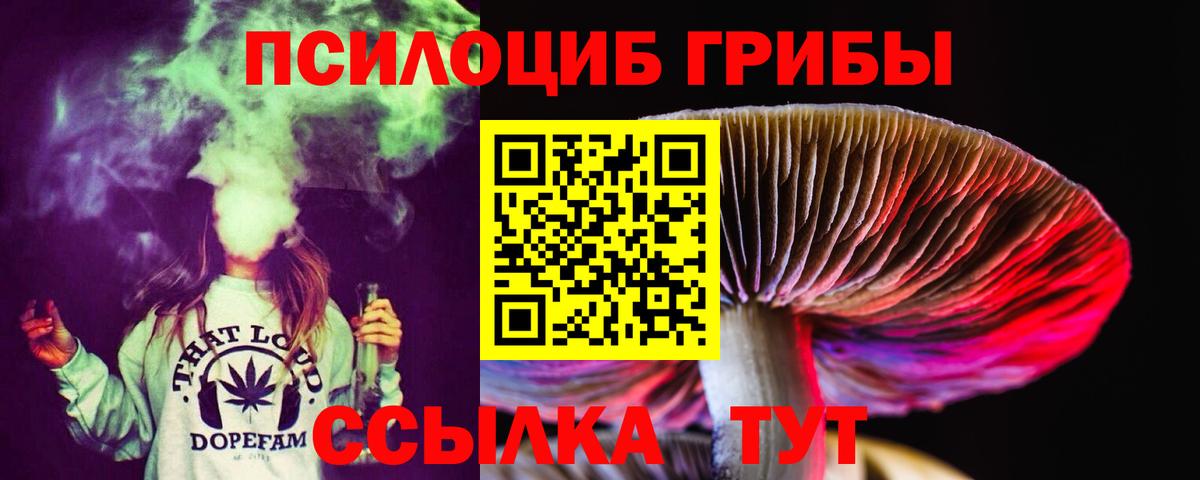 Псилоцибиновые грибы прущие грибы Заречный